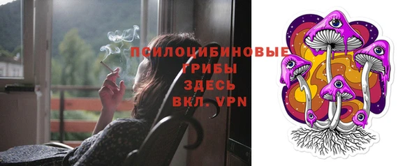 трава Алзамай