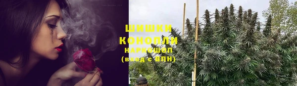 ПСИЛОЦИБИНОВЫЕ ГРИБЫ Алексин