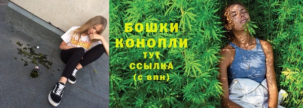 ПСИЛОЦИБИНОВЫЕ ГРИБЫ Алексин