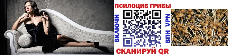 Купить  Белая Холуница  Галлюциногенные грибы ЛСД 