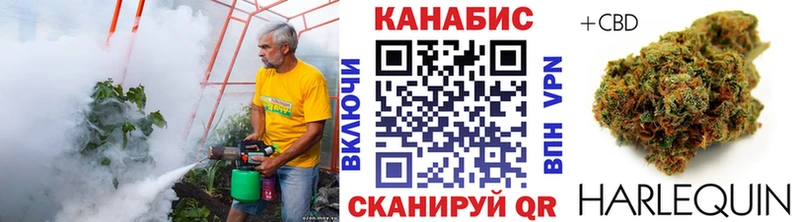 Бошки Шишки OG Kush  Купить где  Белая Холуница 